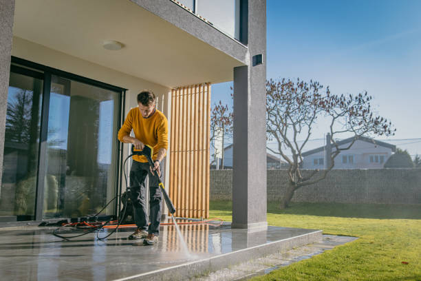 Best Roof Cleaning and Mildew Removal in Walworth, WI